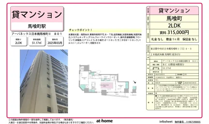 Brand New 2LDK Condo Near Station in Yaesu(1-chome) 0