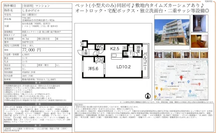 しまかげビル 503号 0