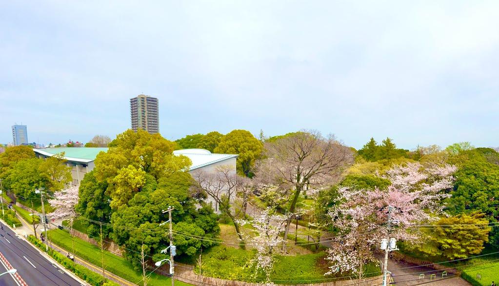 Classic 2-Bedroom Condo Near Station in Nishigahara 0