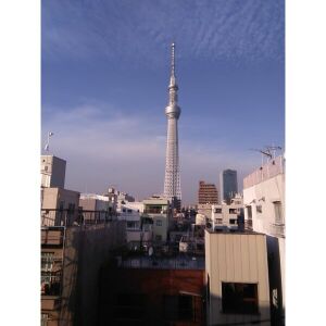 サムネイル 11