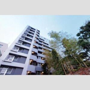 Studio Condo Near Station in Minamiogikubo 0