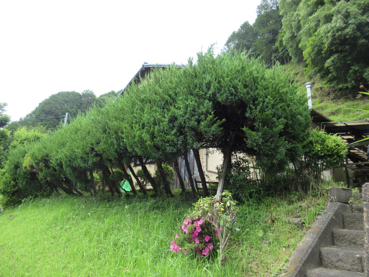 Well-Kept 5-Bedroom House with a Garden in Kiriyama 0