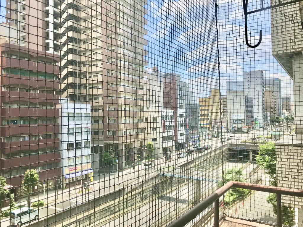 サムネイル 11