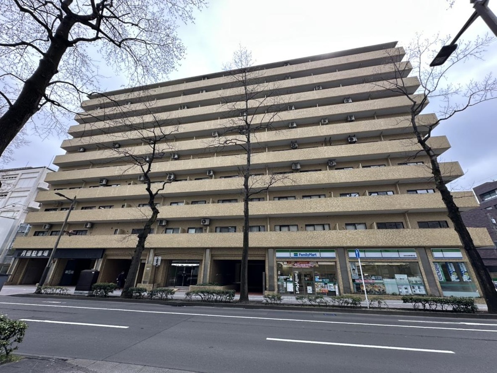 Charming Studio Condo Near Station in Tsuchitoi(1-chome<11-onozoku>) 0