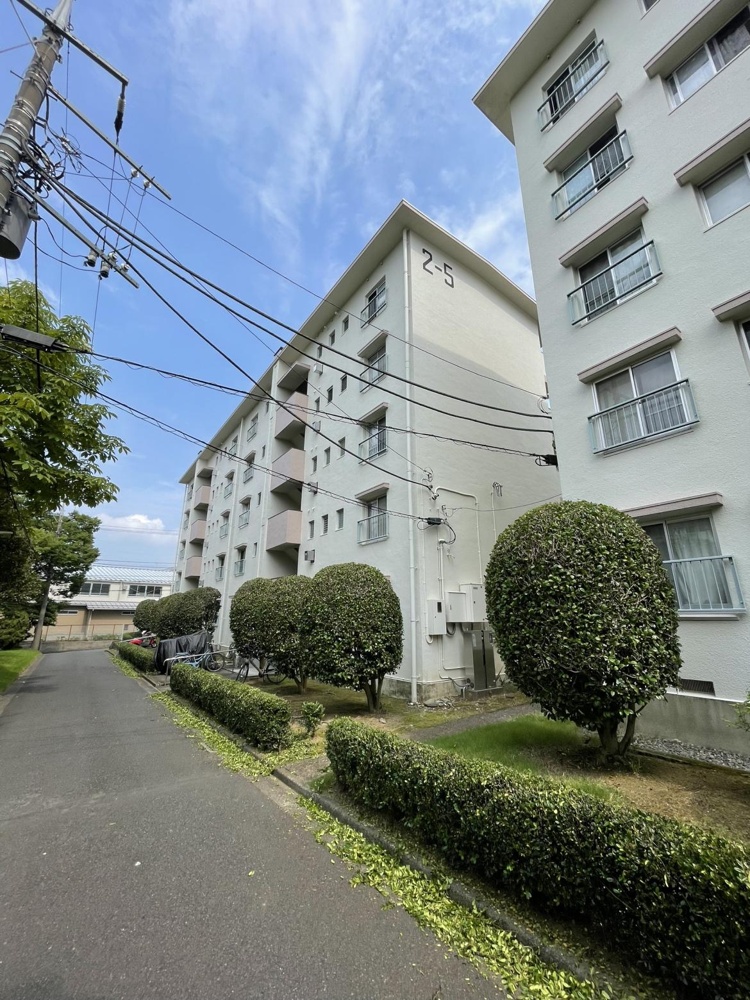 Charming 2-Bedroom Condo in Mita 0