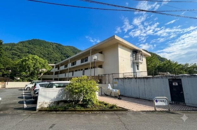 Classic 1-Bedroom Condo in Nakagawa 0