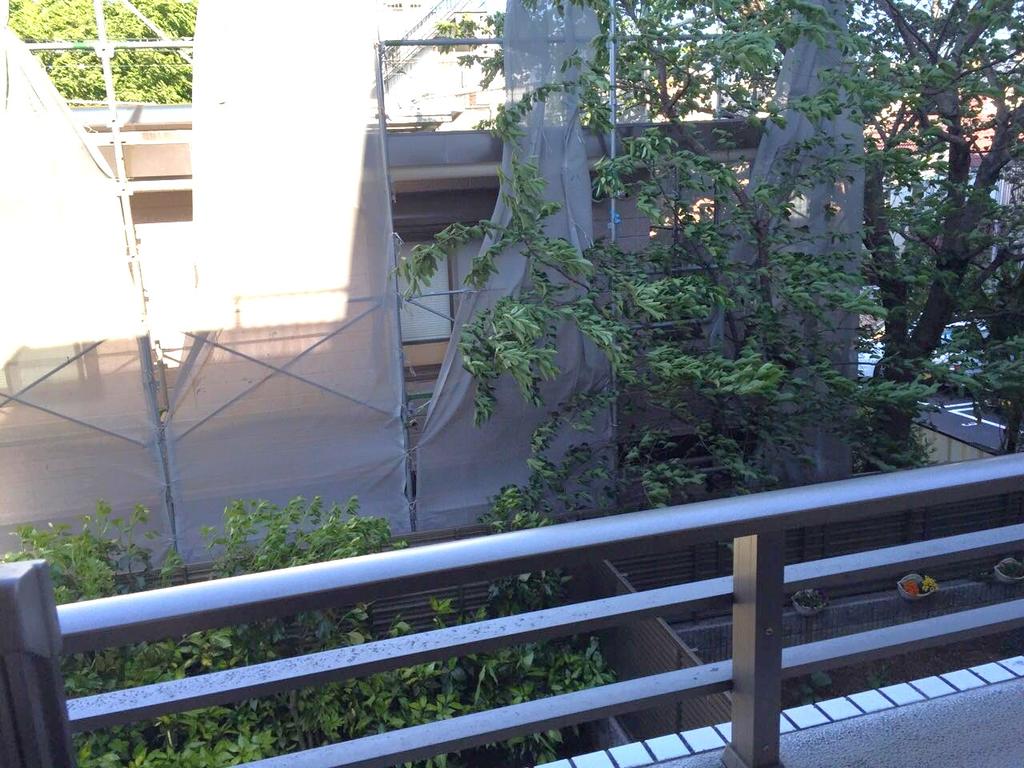 サムネイル 10