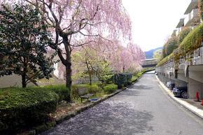 Well-Kept 1-Bedroom Condo in Miyagino 0