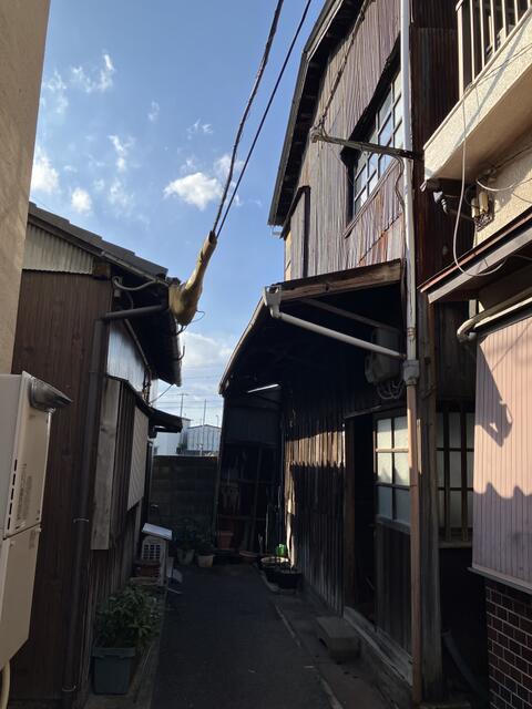 サムネイル 2