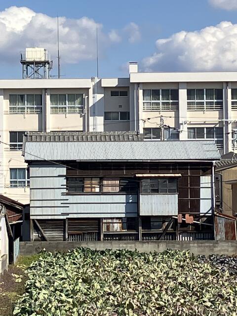 サムネイル 10