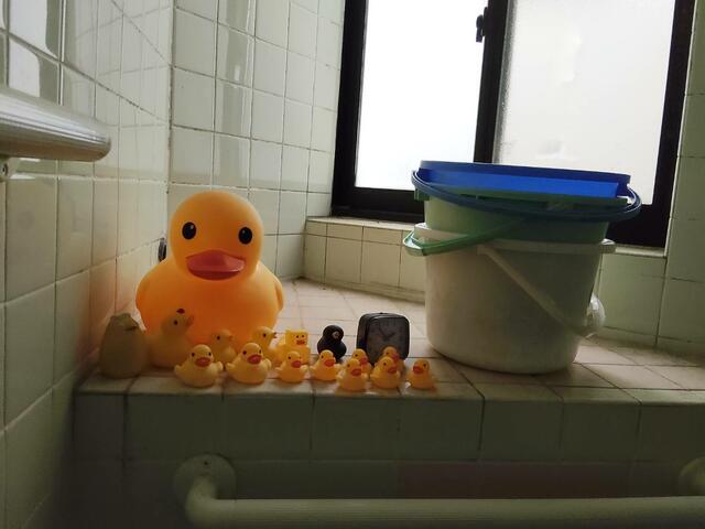 サムネイル 7