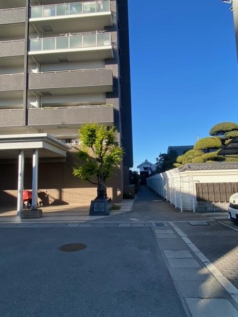 サムネイル 10
