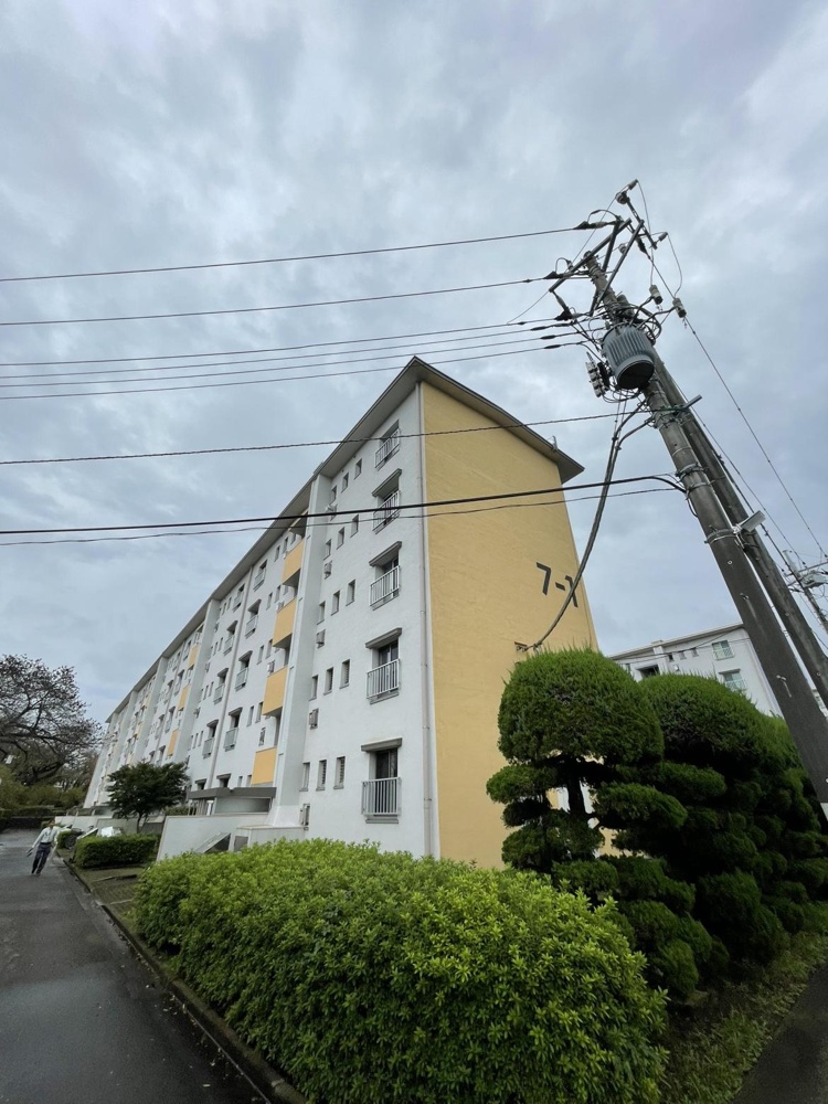Classic 3-Bedroom Condo in Kashiwai 0